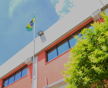 Serviços